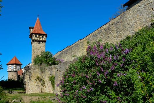 Part of old church castle in Ostheim, Rhoen, Bavaria, the largest of its kind in Germany, with purple lilac in front, with blue sky