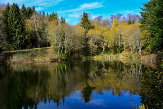 Lake in a forest, in autumn in the Rhön, Germany, with blue sky and reflection