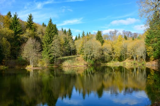 Small lake in a forest, in autumn in the Rhön, Germany, with blue sky and copy space