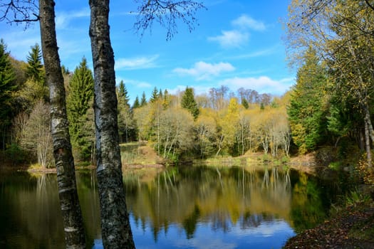 A small lake in a forest, with a tree in the foreground, in autumn in the Rhön, Germany, with reflection and blue sky