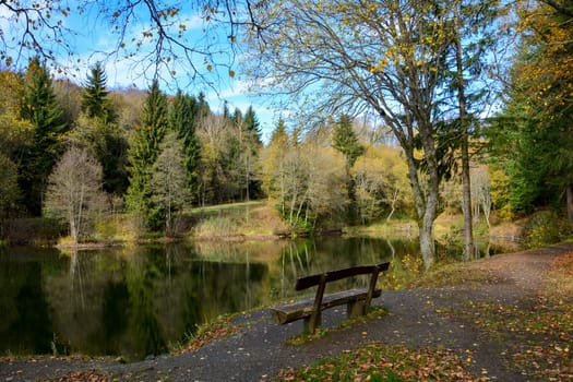 Empty wooden bench on a small lake in a forest with blue sky