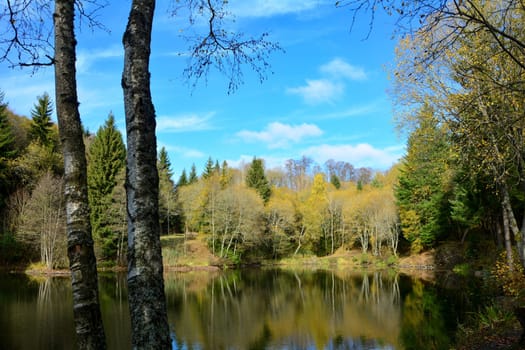 Small lake in a forest, with a tree in the foreground, in autumn in the Rhön, Germany, with blue sky