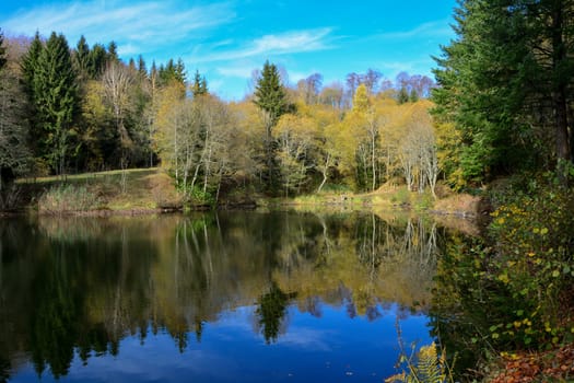 Small lake in a forest, in autumn in the Rhön, Germany, with reflection and blue sky