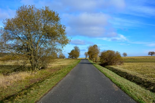 Lonely country road through a green landscape, with blue sky in the Rhoen, Bavaria, Germany