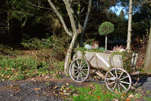 Handcart made of wood, planted with many plants in the nature with copy space