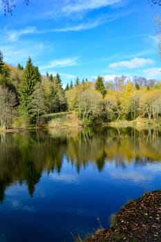 A small lake in a forest, in autumn in the Rhön, Germany, with blue sky and copy space