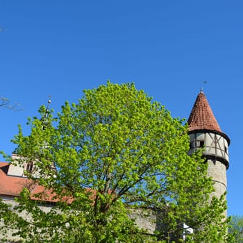 A  tower of the old church castle in Ostheim, Rhoen, Bavaria, with tree in the foreground