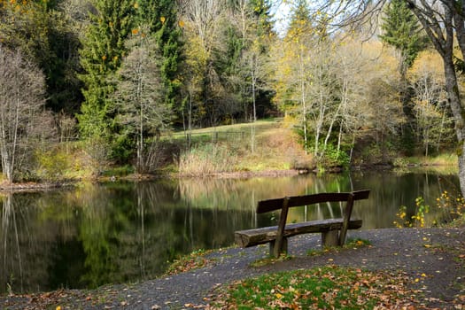 Empty wooden bench on a small lake in a forest, with reflection on the water