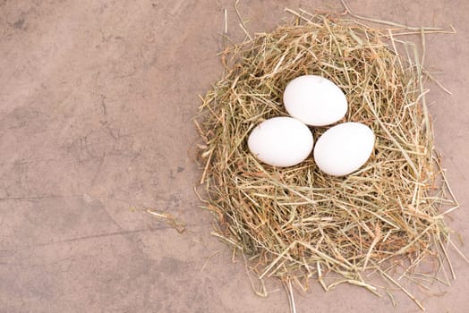 White chicken eggs in a hay nest on a brown textured background, empty copy space, easter background