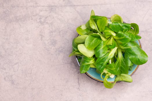 Lambs lettuce on a brown textured stone background, empty copy space for text