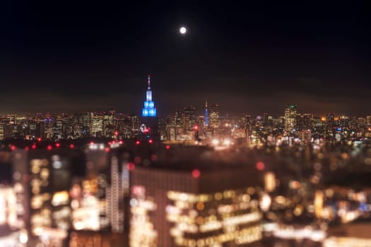 Night-time panoramic view from the Tokyo Metropolitan Government Building on a full moon night.