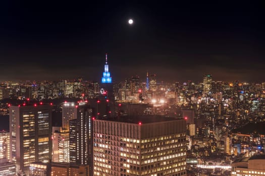 Night-time panoramic view from the Tokyo Metropolitan Government Building on a full moon night.