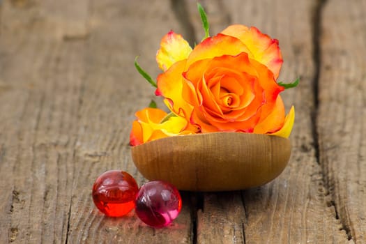 rose and oil bath pearls on wooden background