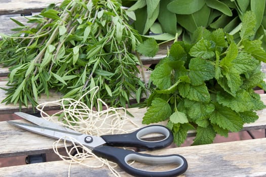 Freshly harvested herbs with scissors and string on wooden background