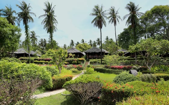 Beautiful home on the coast of the tropical jungle