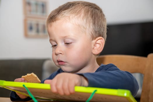 two year old boy eating a small cake