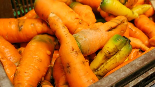 many organic carrots on the market place