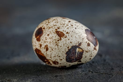 Fresh quail egg on a dark background