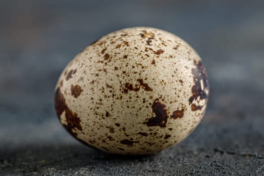 Fresh quail egg on a dark background