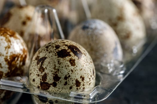 Fresh quail eggs in a transparent lattice, selective focus