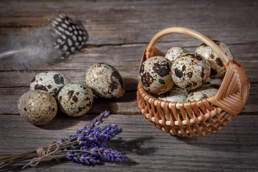 Quail eggs on a wooden background in a basket, easter composition with dry lavender