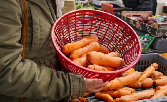 many organic carrots on the market place