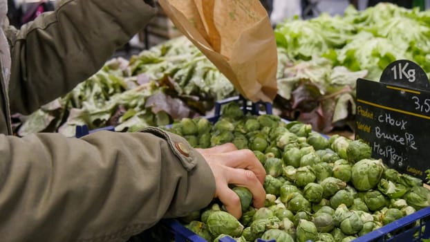 fresh raw brussels sprouts on the market place