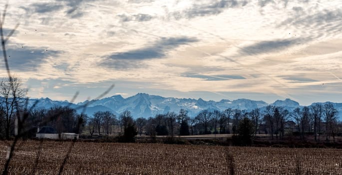 a panorama of field, Pyrenees mountains on background
