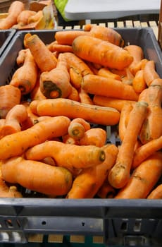many organic carrots on the market place