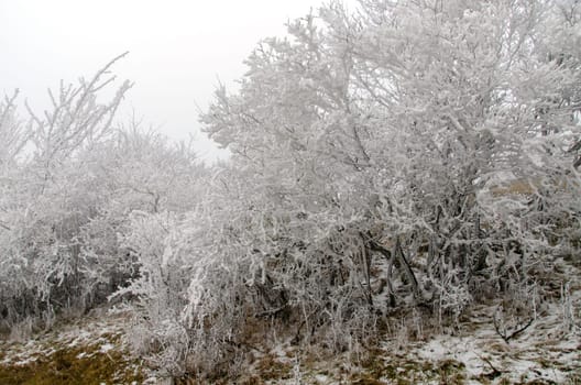 romantic winter landscape in the Rhön in January