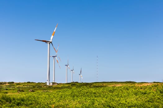 Windmills in the green valley against clear sky