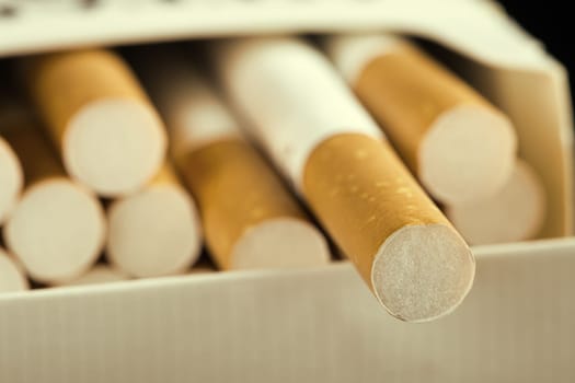 Closeup of cigarettes in pack