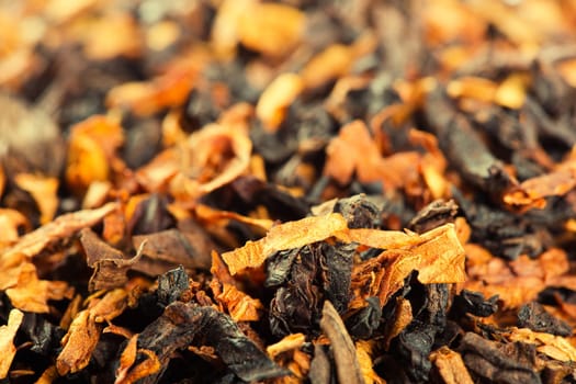Closeup view of smoking tobacco
