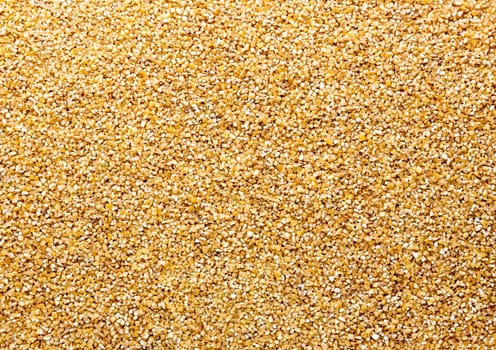 Corn grains. Background or texture