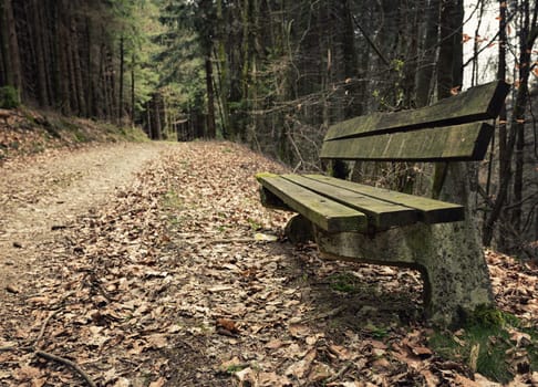 Adandoned wooden bench in autumn forest