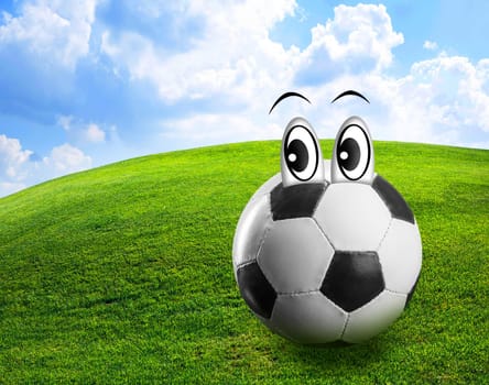 Football with eyes on the meadow on a sunny day