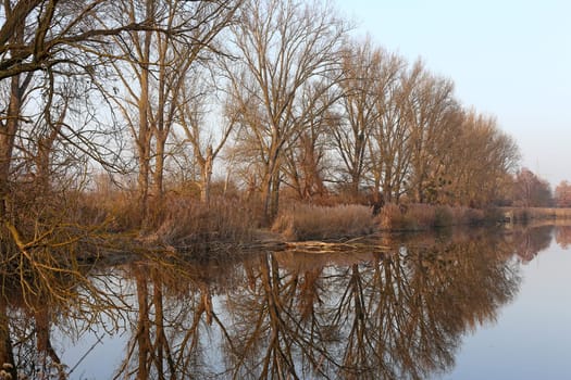 A mild January in the nature reserve Wagbachniederung
