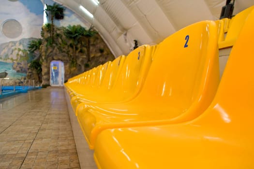 Rows of yellow seats
