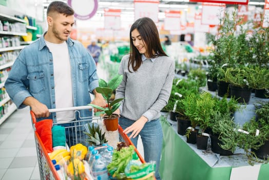 Couple with cart in department of plants and flowers supermarket, family shopping. Customers in shop, buyers in market