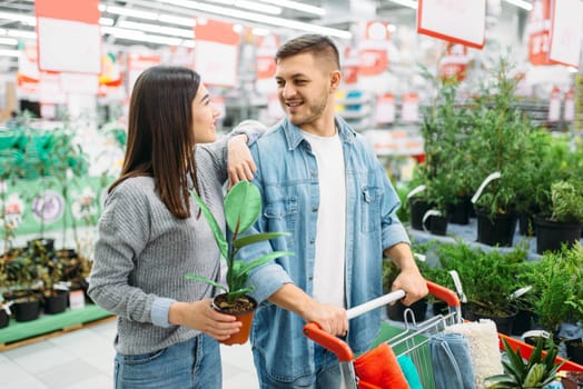 Couple with cart full of goods buying home flower in a supermarket, family shopping. Customers in shop, buyers in market