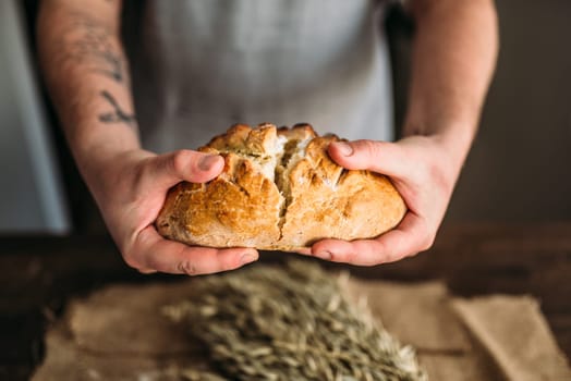 Baker hands breaks in half fresh baked bread loaf with crispy crust over table with wheat bunch on burlap cloth. Homemade bakery concept, natural organic food.