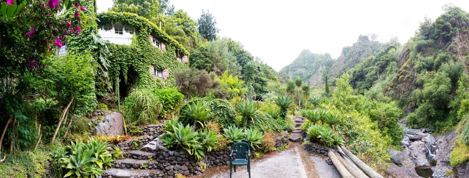 Tropical botanic garden against mountains, Portugal, Madeira