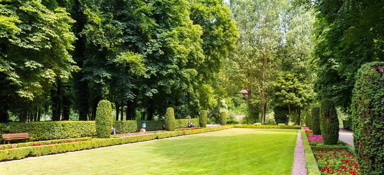 Benches between bushes in different shapes, summer park in Europe. Professional gardening, european green landscape, garden plants decoration