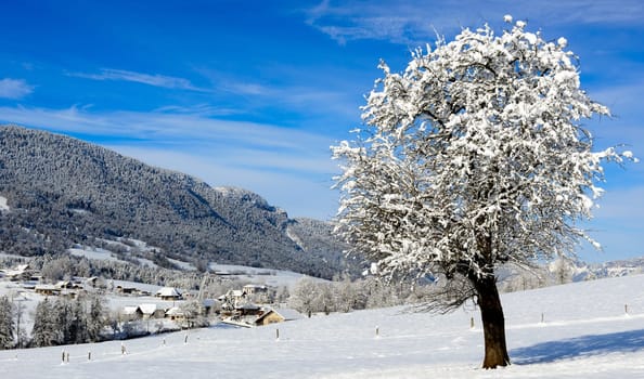 mountain landscape in winter with snow