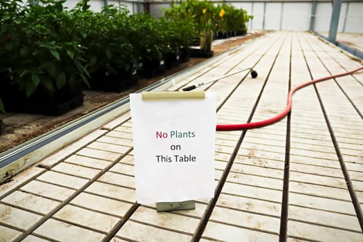 A no plants on this table sign in a greenhouse.