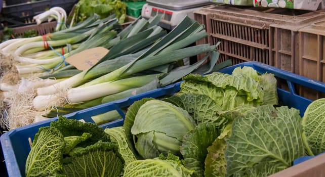 organic vegetables on the market place