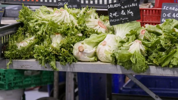organic escarole salad on the market place