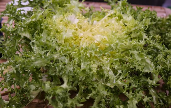 organic escarole salad on the market place
