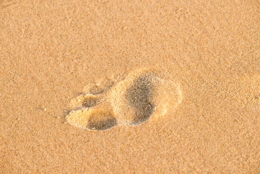 footprint on a beach