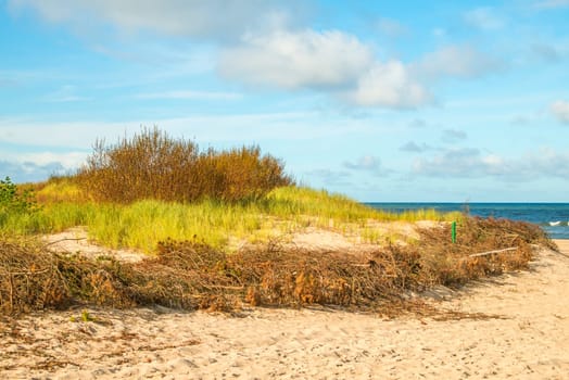 beach of the Baltic sea with beach grass and park bench in back light